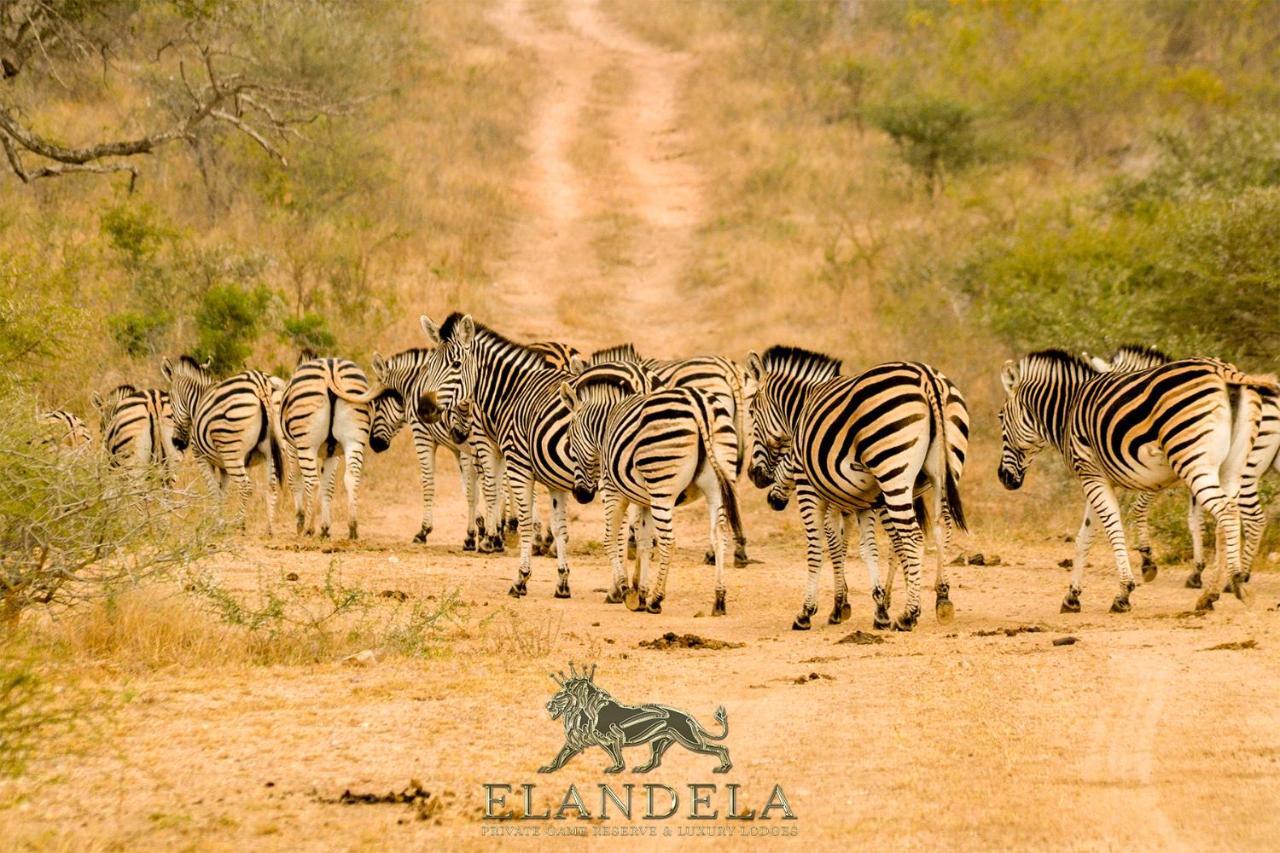 Elandela Private Game Reserve And Luxury Lodges Pty Ltd Hoedspruit Exterior foto