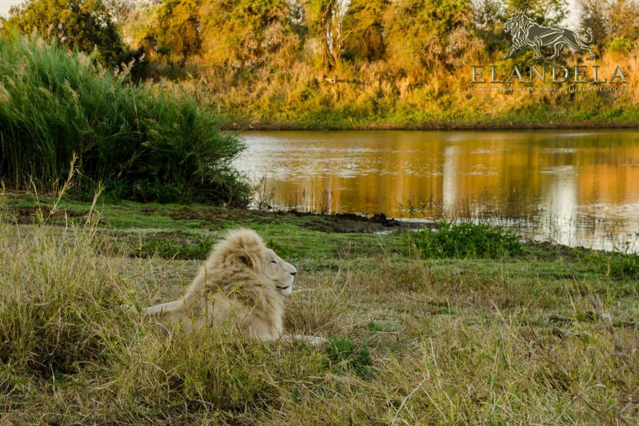 Elandela Private Game Reserve And Luxury Lodges Pty Ltd Hoedspruit Exterior foto